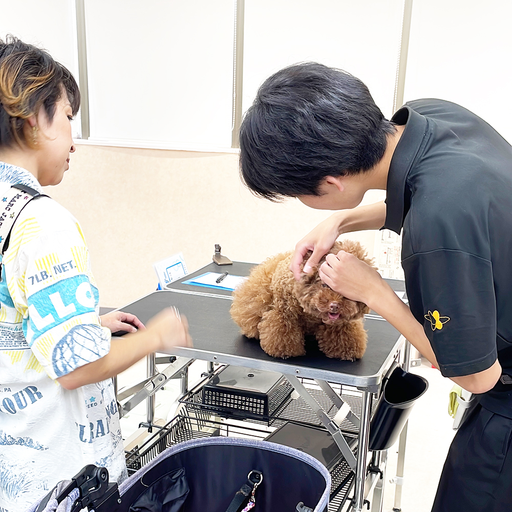 トリミングのお客様の接客実習♪